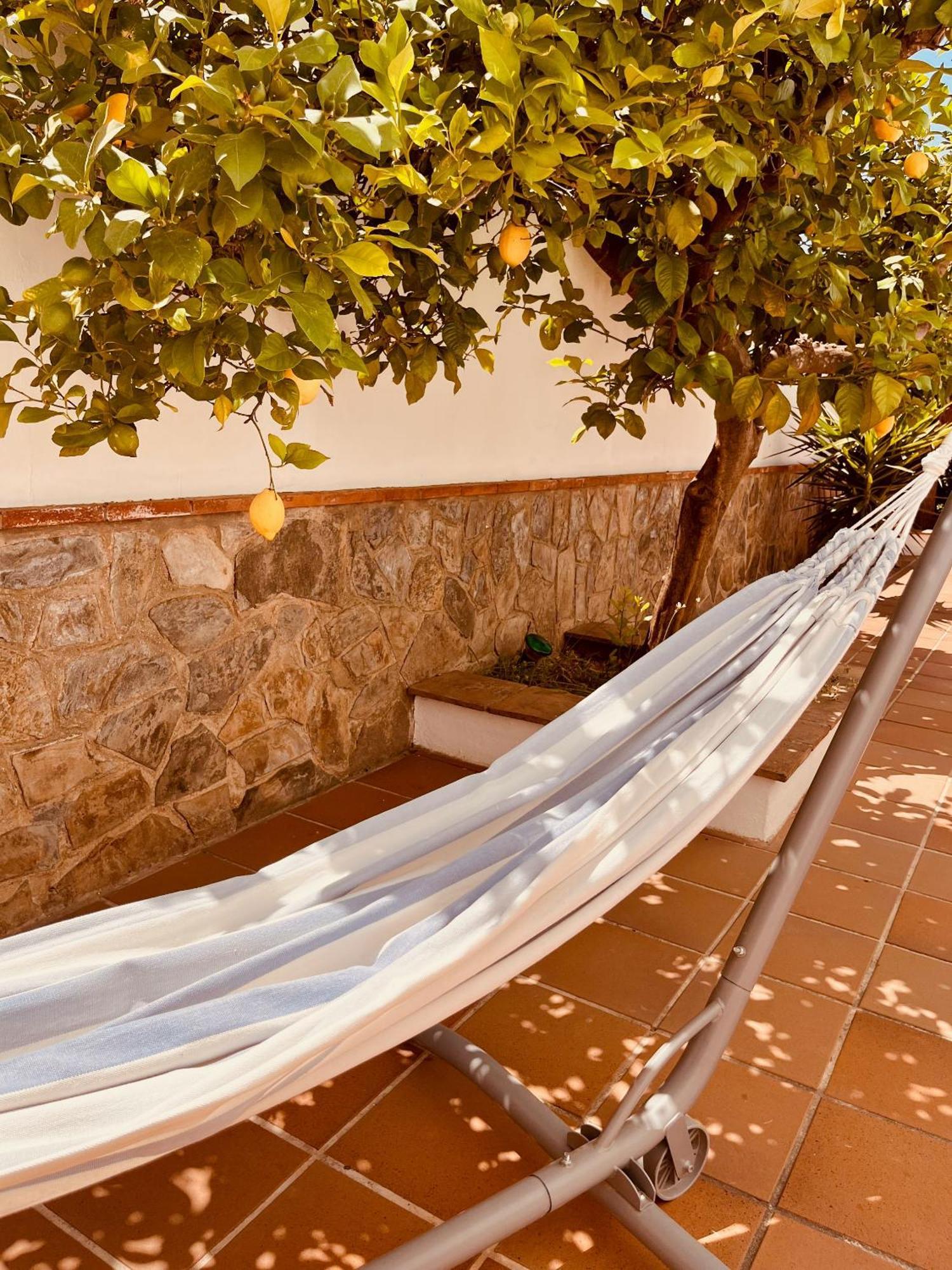 Casa Limon, Boutique Bed And Breakfast, Adults Only Alhaurín el Grande Exteriör bild